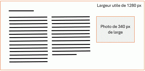 yaseo 340 px en largeur de photo, pour diminuer le poids et gagner en vitesse d'affichage