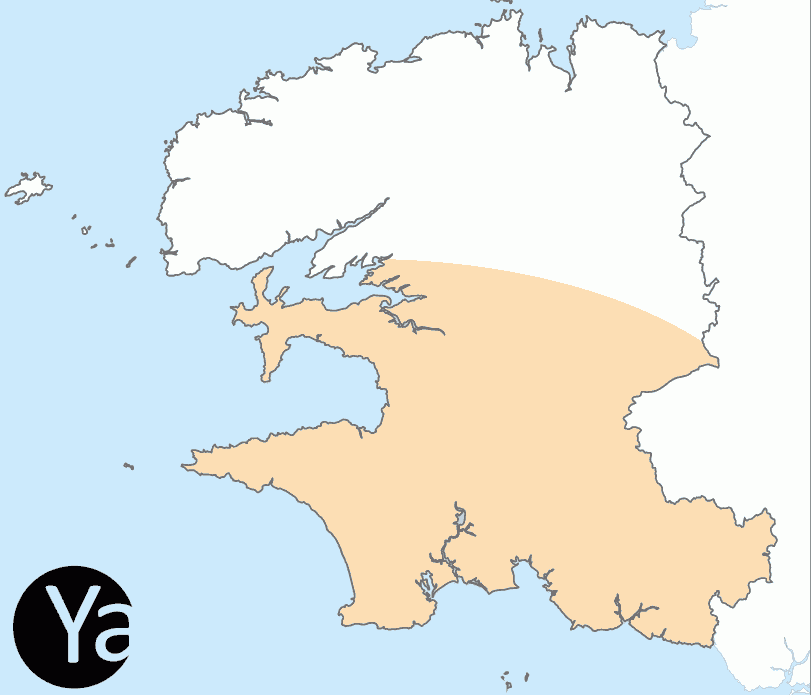 Référencement Finistère : Yaseo intervient dans le secteur Morlaix, Landerneau, Landivisiau, Saint-Renan, Roscoff ...